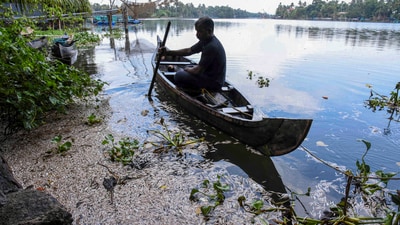 Ernakulam: Dead fish float in the Periyar river following the suspected release of industrial effluents in the in the Eloor-Edayar industrial area, in Ernakulam, Kerala, Tuesday, May 21, 2024. (PTI Photo) (PTI05_21_2024_000137B) (PTI)