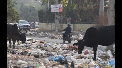The development comes a day after the Haryana government on Wednesday declared a municipal solid waste exigency in Gurugram due to the alarming levels of untreated waste adversely affecting the environment and public health. (HT Photo) The development comes a day after the Haryana government on Wednesday declared a municipal solid waste exigency in Gurugram due to the alarming levels of untreated waste adversely affecting the environment and public health. (HT Photo)