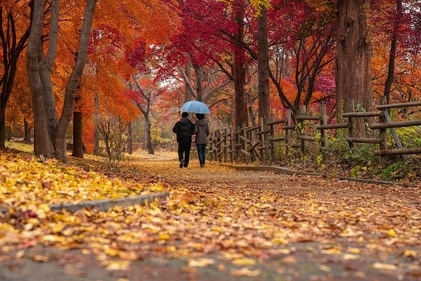 Nature walks are peaceful. (Pixabay) Nature walks are peaceful. (Pixabay)
