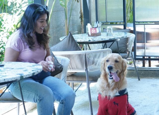 In restaurants such as Kling Brewery, dedicated zones allow pets to enjoy a meal with their humans. (KLING BREWERY) In restaurants such as Kling Brewery, dedicated zones allow pets to enjoy a meal with their humans. (KLING BREWERY)