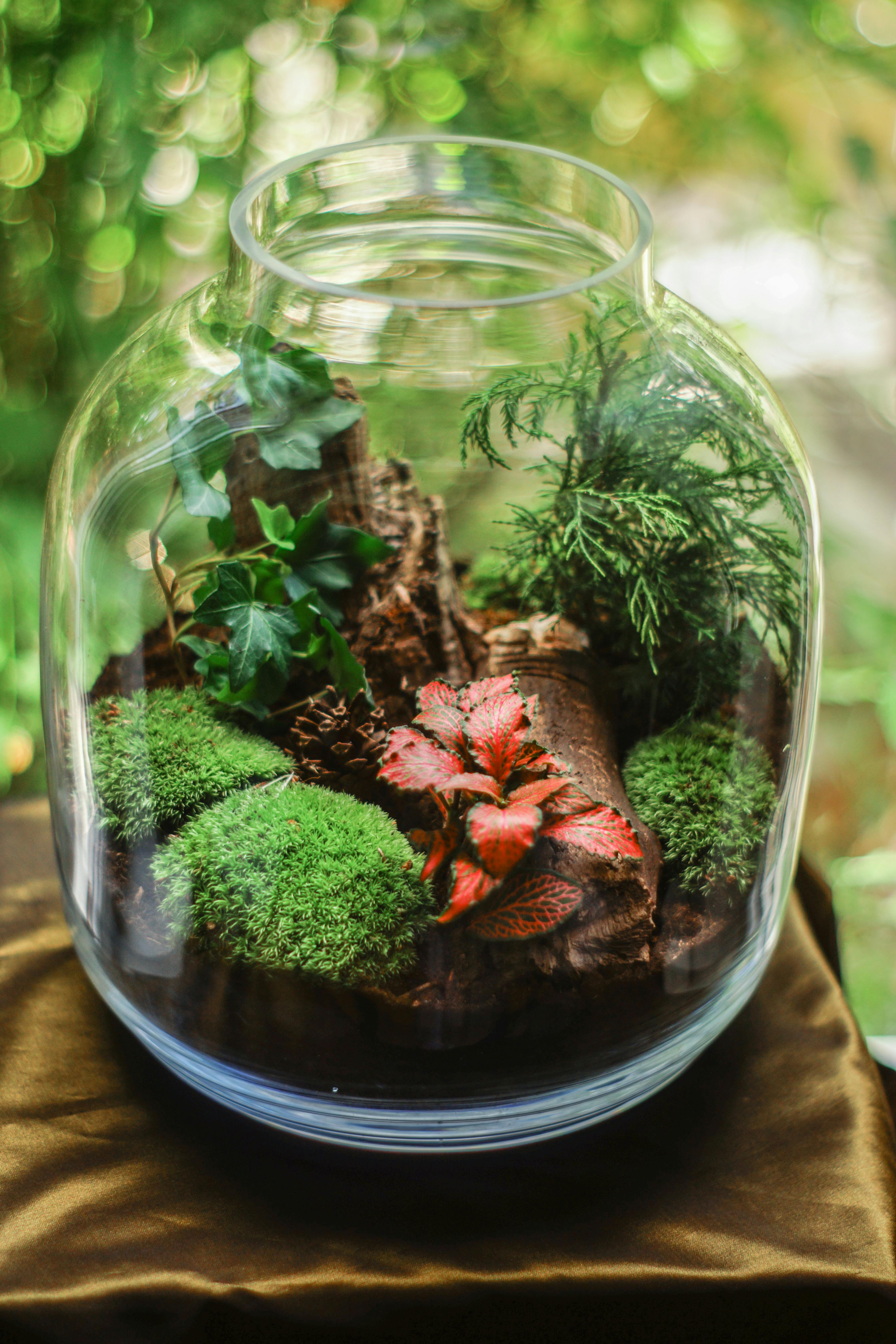 Terrarium is a fun DIY together. (Pexels) Terrarium is a fun DIY together. (Pexels)