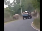 The elephants are seen running away from the truck. 