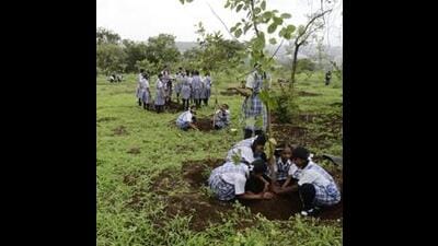 For this, the forest department requires workers on a daily wage basis for plantation activity. (REPRESENTATIVE PIC)