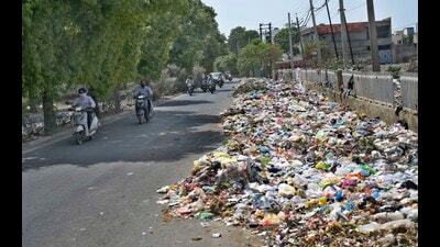 Residents and commuters are calling on the MC to take immediate action to clean up the area and ensure that the solid waste management system functions properly. (Gurpreet Singh/HT) Residents and commuters are calling on the MC to take immediate action to clean up the area and ensure that the solid waste management system functions properly. (Gurpreet Singh/HT)