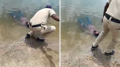 A 'dead body' in a pond turned out to be a man taking a nap. (X/@sudhakarudumula) A 'dead body' in a pond turned out to be a man taking a nap. (X/@sudhakarudumula)
