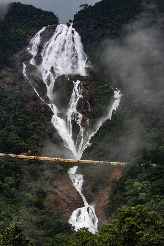 (Dhanush Chandan)