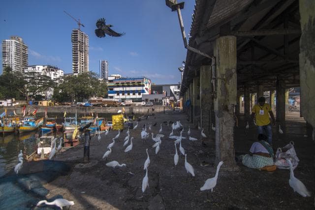 The Sassoon Docks in Mumbai. Gentrification has meant that workers and poorer people are increasingly being squeezed out of these areas. (Pratik Chorge/HT Photo) The Sassoon Docks in Mumbai. Gentrification has meant that workers and poorer people are increasingly being squeezed out of these areas. (Pratik Chorge/HT Photo)