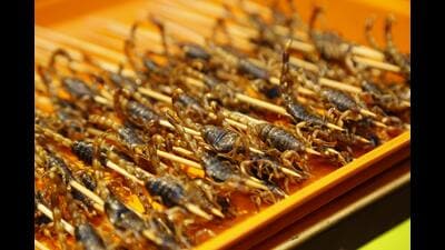 If you do like a bit of crunch with your protein, stalls in countries such as China offer snacks like the skewered scorpions above. (Pexels) If you do like a bit of crunch with your protein, stalls in countries such as China offer snacks like the skewered scorpions above. (Pexels)