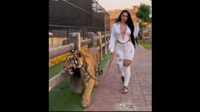 Influencer Nadia Khar with pet tiger. Influencer Nadia Khar with pet tiger.