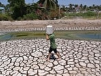 Every year, World Day to Combat Desertification and Drought is celebrated on June 17.(Photo by Nhac NGUYEN / AFP)