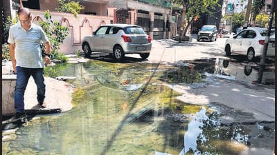 Residents are now afraid of potential dengue outbreaks. (HT Photo) Residents are now afraid of potential dengue outbreaks. (HT Photo)