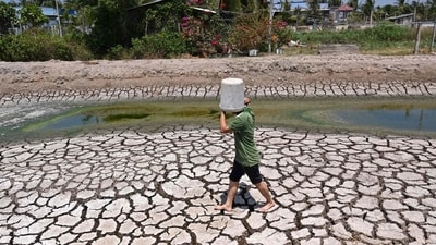 Every year, World Day to Combat Desertification and Drought is celebrated on June 17. (Photo by Nhac NGUYEN / AFP) Every year, World Day to Combat Desertification and Drought is celebrated on June 17. (Photo by Nhac NGUYEN / AFP)