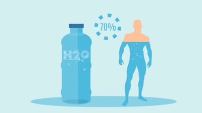 Hydration: Drink plenty of water throughout the day. Sometimes thirst can be mistaken for hunger, so staying hydrated can help manage appetite. (Freepik)