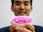 Innovative 'meaty rice' offers eco-friendly protein source without slaughtering livestock. Innovative 'meaty rice' offers eco-friendly protein source without slaughtering livestock.