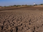 A farmer walks on a lake that has dried up due to drought outside Beed, India (Rafiq Maqbool/AP Photo)