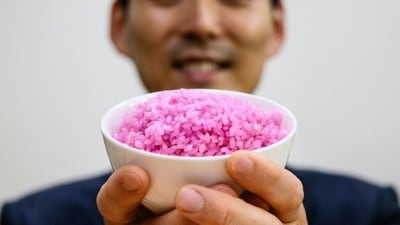 Innovative 'meaty rice' offers eco-friendly protein source without slaughtering livestock. (AFP) Innovative 'meaty rice' offers eco-friendly protein source without slaughtering livestock. (AFP)