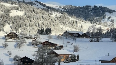 Model and actor Lisa Haydon took to Instagram on January 1, 2024 to share an amazing picture and video of her Christmas and New Year holiday with her husband and kids in a 'winter wonderland'. She wrote in her caption, "2024 Vaaatavaaran..." Model and actor Lisa Haydon took to Instagram on January 1, 2024 to share an amazing picture and video of her Christmas and New Year holiday with her husband and kids in a 'winter wonderland'. She wrote in her caption, "2024 Vaaatavaaran..."