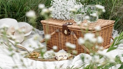 International Picnic Day will be celebrated on June 18. (Unsplash) International Picnic Day will be celebrated on June 18. (Unsplash)
