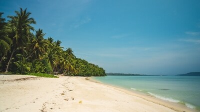 Havelock Islands, Andaman & Nicobar: Known for its pristine white-sand beaches, coral reefs and great scuba diving experience, this island is part of the stunning Ritchie's Archipelago and attracts several tourists. (Unsplash) Havelock Islands, Andaman & Nicobar: Known for its pristine white-sand beaches, coral reefs and great scuba diving experience, this island is part of the stunning Ritchie's Archipelago and attracts several tourists. (Unsplash)