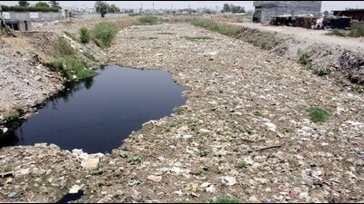 The participants underscored that the Sutlej River is the primary drinking water source for a large part of Southern Punjab. (HT File) The participants underscored that the Sutlej River is the primary drinking water source for a large part of Southern Punjab. (HT File)
