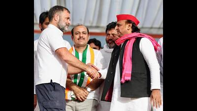 The poll scenario began changing positively for Congress-SP alliance in Uttar Pradesh once Rahul Gandhi and Akhilesh Yadav decided to contest the 2024 poll and the alliance won 43 of 80 UP seats. (HT FILE)