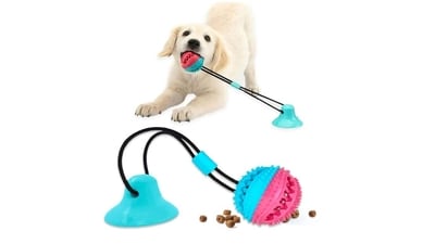 Best dog toys to keep your pets entertained Best dog toys to keep your pets entertained