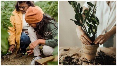 Gardening is a great way to reconnect with yourself. (Pexels) Gardening is a great way to reconnect with yourself. (Pexels)