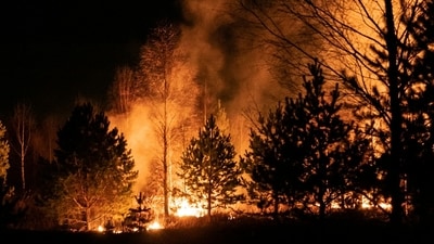 Wildfires, Post Fire and Point Fire among others broke out in California over the weekend and continue to spread, destroying vast acres of land in its wake.