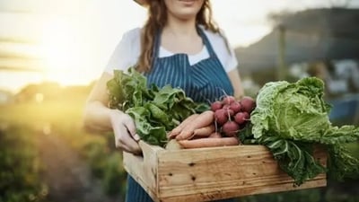 On Sustainable Gastronomy Day, 7 chefs from around the world talk of their sustainability practices and the most sustainable dish on their menu. (Unsplash) On Sustainable Gastronomy Day, 7 chefs from around the world talk of their sustainability practices and the most sustainable dish on their menu. (Unsplash)