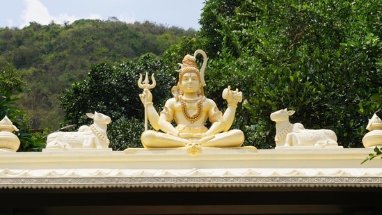It is believed that individuals who regularly observe Pradosh Vrat are blessed with the fulfillment of all their desired wishes. (Unsplash)