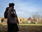 A Taliban security personnel watches a tractor squash opium plantations at a field in Arghandab district of Kandahar province.  on January 15, 2024. (Photo by Sanaullah SEIAM / AFP)