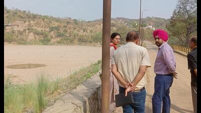 DC Ashika Jain apprised that the department of soil conservation has been asked to prepare a plan to address the issue of accumulating silt from upstream choes (rivulets). (HT photo)