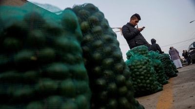 US halts avocado inspections in Mexico over security concerns (REUTERS)