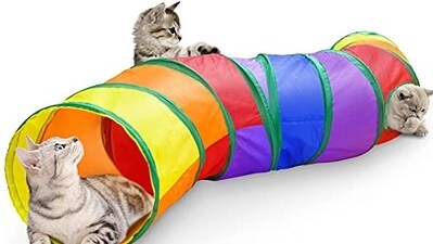Best cat toys to keep them entertained for long. Best cat toys to keep them entertained for long.