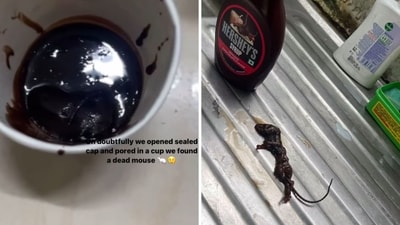 A woman claims to have found a dead mouse in a bottle of Hershey's chocolate syrup. (Instagram/@pramisridhar) A woman claims to have found a dead mouse in a bottle of Hershey's chocolate syrup. (Instagram/@pramisridhar)