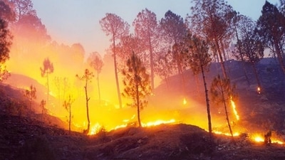 According to state officials, 11 people have died in Uttarakhand forest fires that have ravaged at least 1,747 ha of land this year. (File)