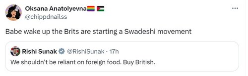 An X user's reaction to UK PM Rishi Sunak's 'Buy British' post. (X/@chippdnailss) An X user's reaction to UK PM Rishi Sunak's 'Buy British' post. (X/@chippdnailss)