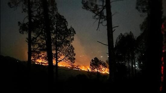 Flames engulf the Binsar Wildlife Sanctuary after a massive fire broke out in Almora, Uttarakhand last week. (ANI Photo)