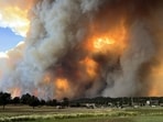   New Mexico is caught in a nearly three-decade-long drought that has made wildfires more destructive and faster moving. AFP PHOTO / Pamela L. Bonner