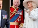 Prince Harry ‘on his own’ as King Charles thinks ‘criticism of Camilla’ is ‘unforgivable' (AP Photo/Kirsty Wigglesworth, File, REUTERS/Hollie Adams TPX IMAGES OF THE DAY)