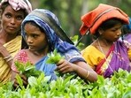 The crisis is due to severe lack of rainfall and excessive heat that has plagued the region throughout the current cropping season.