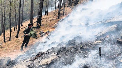 A firefighter uses a jhapa and a sickle in Uttarakhand. (HT photo) A firefighter uses a jhapa and a sickle in Uttarakhand. (HT photo)