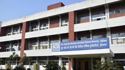 Chairman IDA Punjab chapter, Inderjit Singh Sara, said the seminar was being held to celebrate World Milk Day, usually celebrated on June 1. (HT file photo for representation)