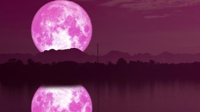 Here's what each zodiac sign should think during June's Full Moon 2024. Here's what each zodiac sign should think during June's Full Moon 2024.