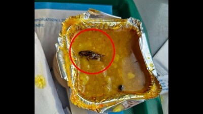 Cockroach in meal served on Vande Bharat Express from Bhopal to Agra. (X/@ViditVarshney1) Cockroach in meal served on Vande Bharat Express from Bhopal to Agra. (X/@ViditVarshney1)