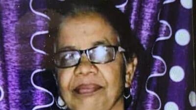 Tree fall kills 70-year-old woman in Virar, body found two days later Tree fall kills 70-year-old woman in Virar, body found two days later