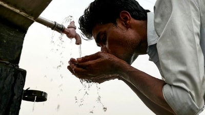 Heatwave in India has significantly reduced the supplies of foods like pulses, vegetables, and cereals. (AFP) Heatwave in India has significantly reduced the supplies of foods like pulses, vegetables, and cereals. (AFP)