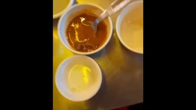 Gujarat: The image shows the dead mouse inside the sambar bowl at a restaurant in Ahmedabad. (Instagram/@ahmedabad.updates) Gujarat: The image shows the dead mouse inside the sambar bowl at a restaurant in Ahmedabad. (Instagram/@ahmedabad.updates)