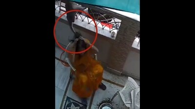 Rajasthan: Monkey grabbed the woman by her hair in Ajmer. (Instagram/@beawar_live_news) Rajasthan: Monkey grabbed the woman by her hair in Ajmer. (Instagram/@beawar_live_news)