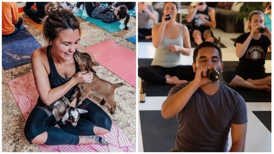 From Goat Yoga to Beer Yoga, take your pick.